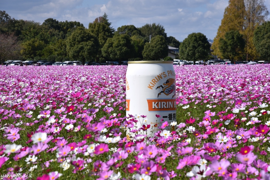 キリン花園 Twitter Search Twitter