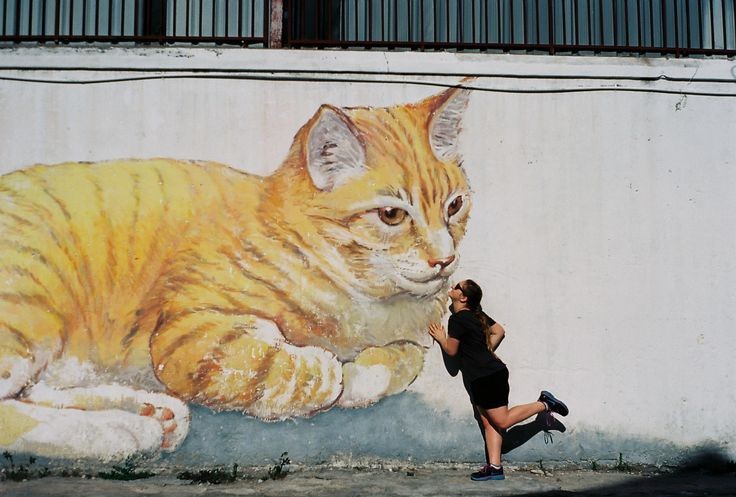 Кошкомыш. Стрит арт кот. Граффити кошка. Стрит арт кошечка. Коты в уличном искусстве