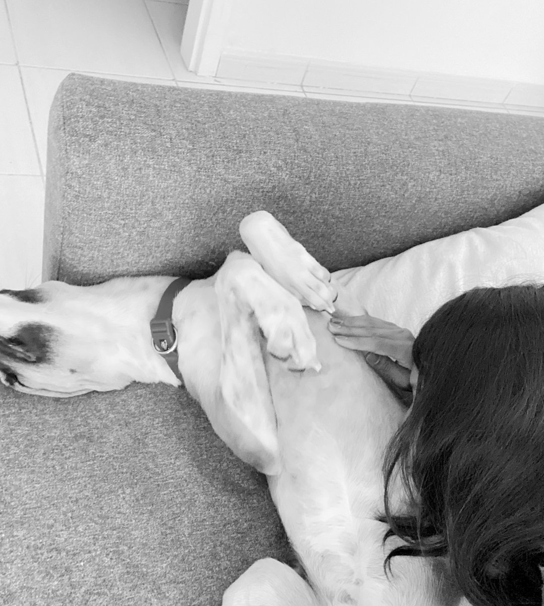 Start everyday with doggy kisses 😘