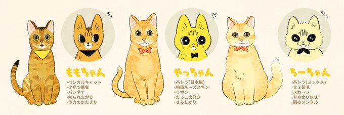 「三毛猫」のTwitter画像/イラスト(人気順｜RT&Fav:50)｜3ページ目