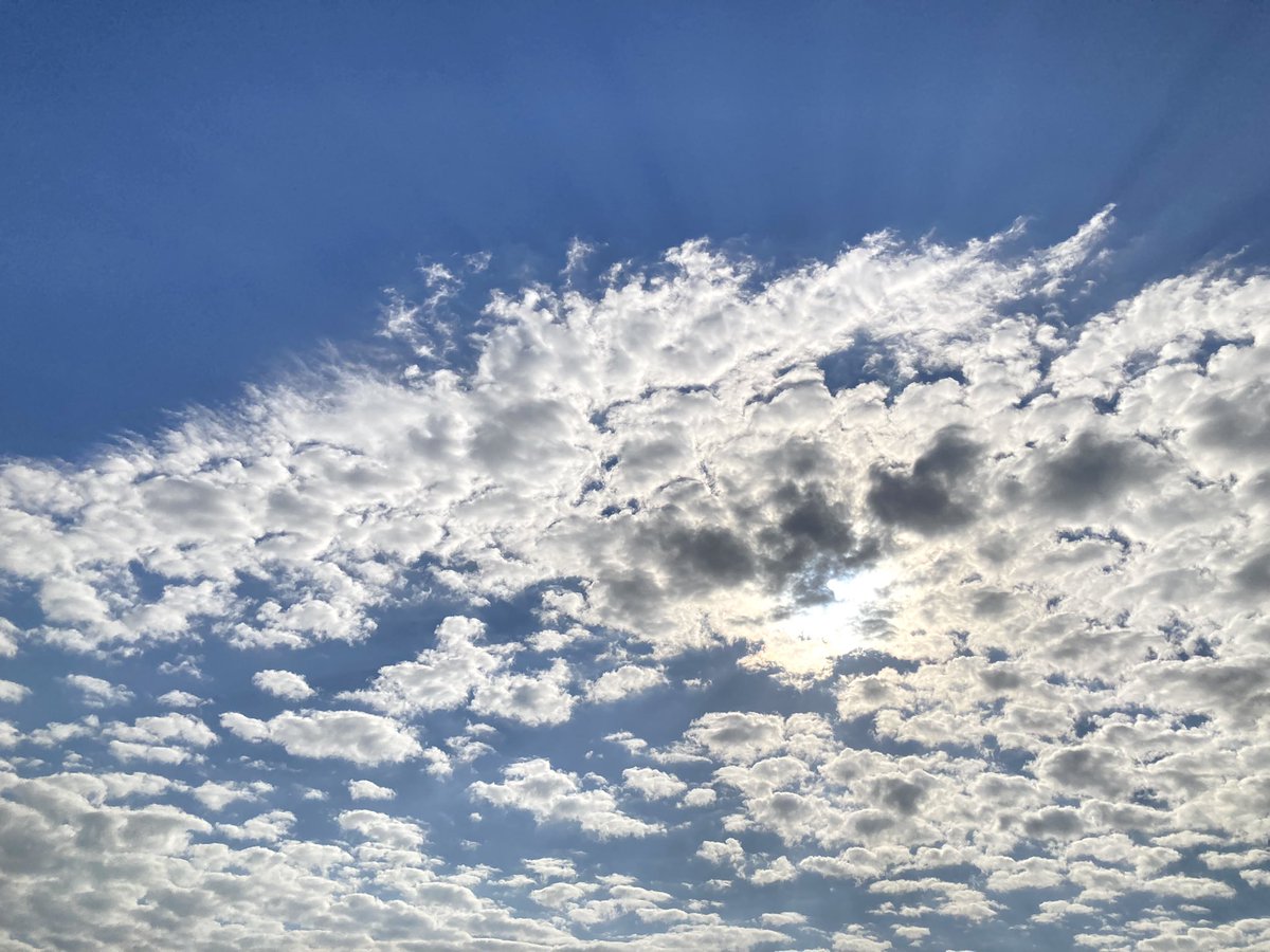 junko_2022's tweet photo. イマソラ
青空気持ち好い！！
#スマートフォンカメラ https://t.co/3YG2pm9VHG