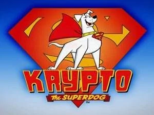 PaperBoxHouse's tweet photo. Sick of this stupid asshole and his dumbass currency https://t.co/tULqji34zA