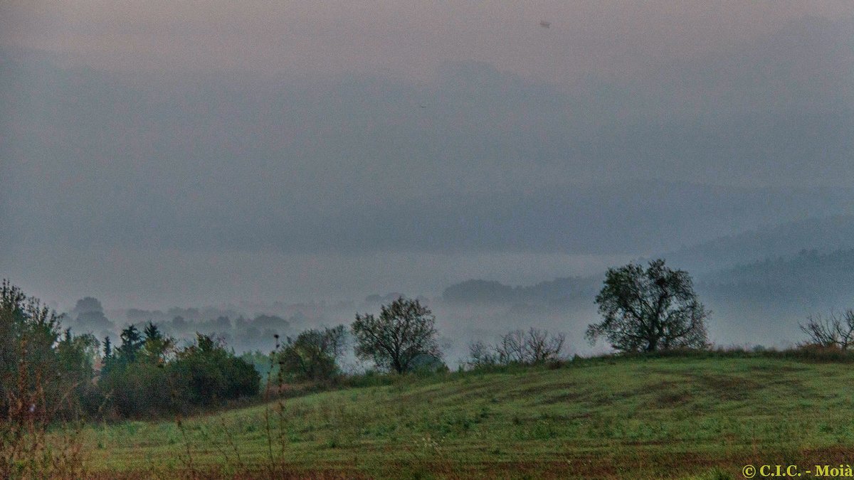 MeteoMoia's tweet photo. Bon dia! amb molts #núvols i #borines pel #Moianès #Moià 12ºC Hum.95% @bcnmoltmes @AlfredRPico @ARAmeteo @meteocat @Cat_Meteo @alcantara_alb @gemmapuigf @soniaPapell @eloicordomi @TomasMolinaB @eltempsTV3 @DaniRamirezDR https://t.co/sCbYqsDkpr