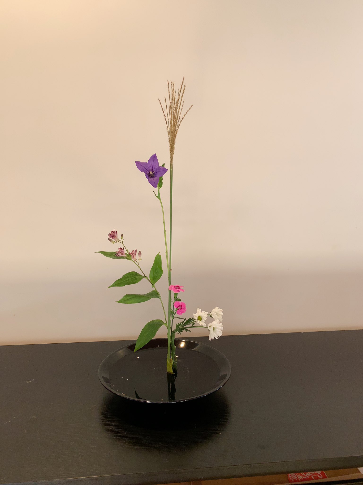 お生花 Twitter Search Twitter