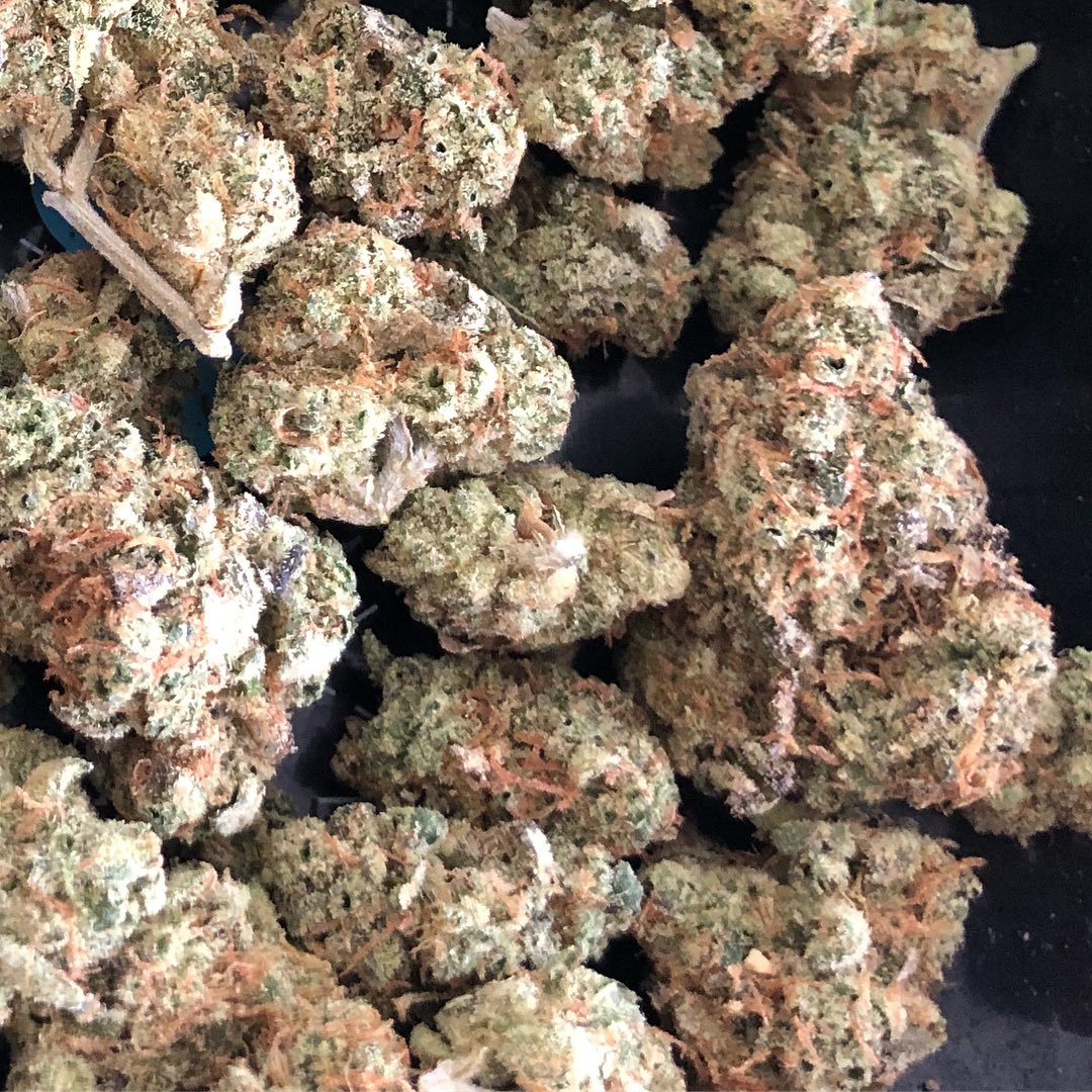 TheOPlugTapIn1's tweet photo. ⛽️ICC 🍧
Pickups Only!   3213259335📲 
   $40/80/160/260
Best Exotic For The Low Tap In🔌 #orlandoexotics #orlandoweed #altamonteweed #ucfweed #oviedoweed #winterparkweed #idriveweed #kissimmeeweed #sanfordweed #davenportweed #universalweed #apopkaweed https://t.co/MWchZw0GZT
