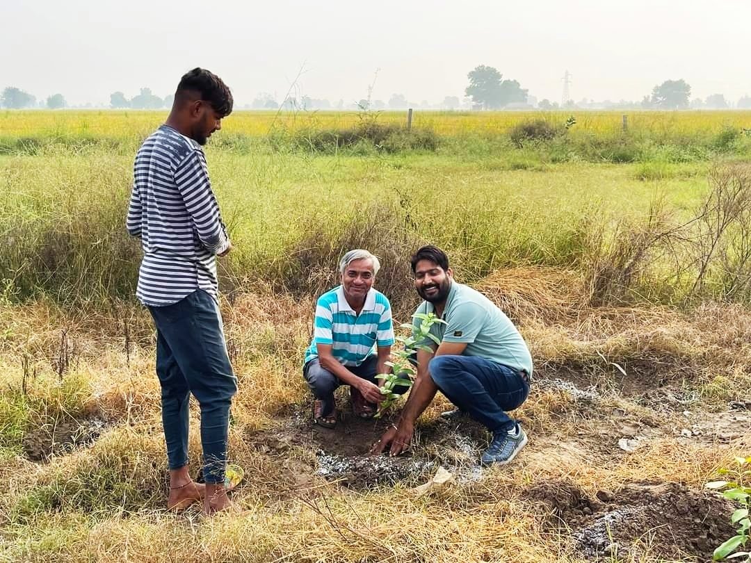 BeerhSociety's tweet photo. On the private land of our #BEERH lover Gurbachan Singh Tony, Beerh Society Planted 300 more plant saplings under second phase at kotkapura IN. Thus a beautiful fruit forest is constructed by our beerh warriors. #GoGreen #plantation #BeerhSociety #savetrees #savelife #saveplants https://t.co/O6AdxaeTEg