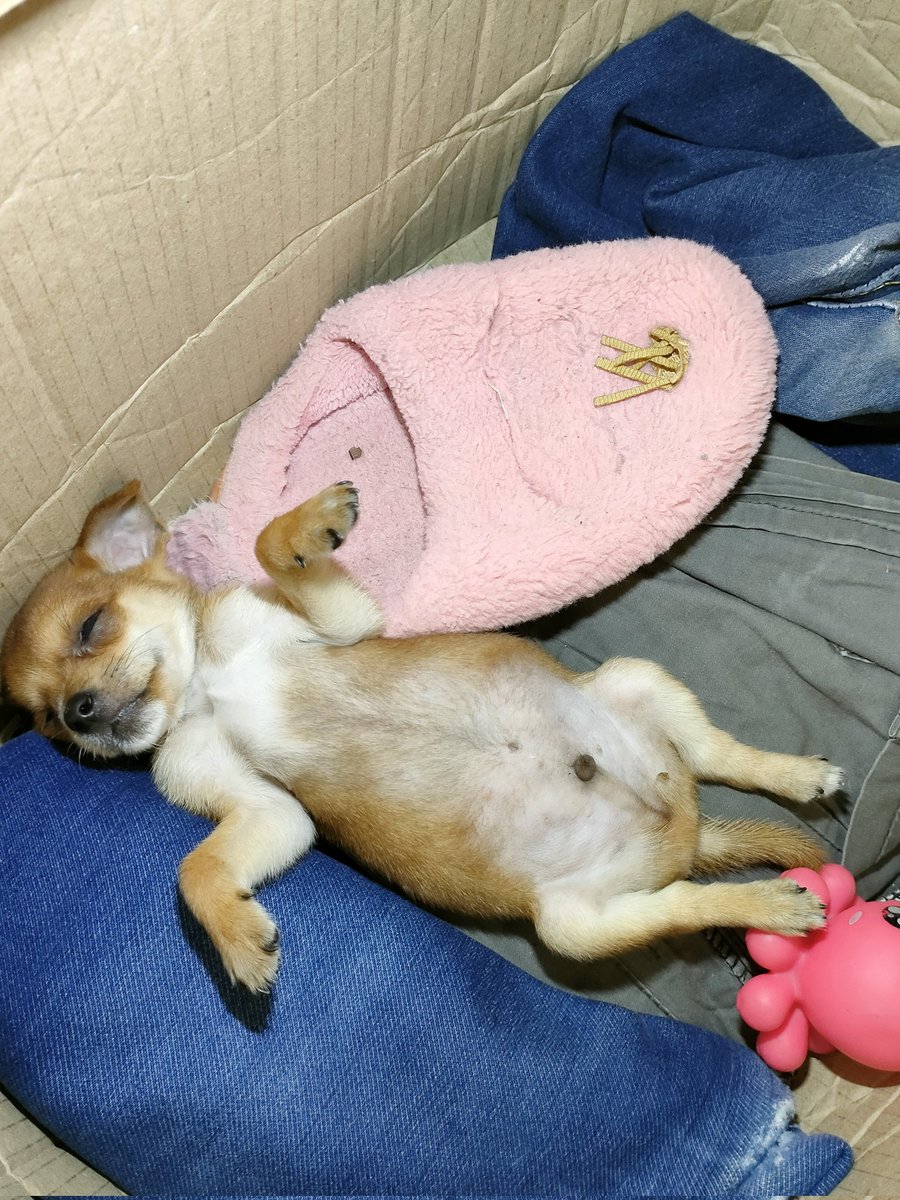 VTelingban's tweet photo. Good night lopen, sleep well 🌃😍 https://t.co/iYIH3bUFbB