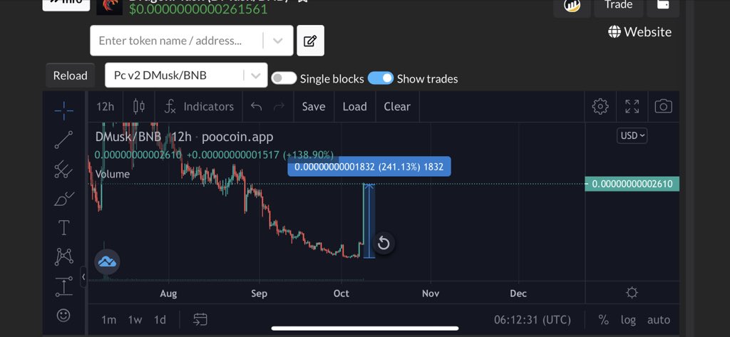 DragonMusk Official tweet media