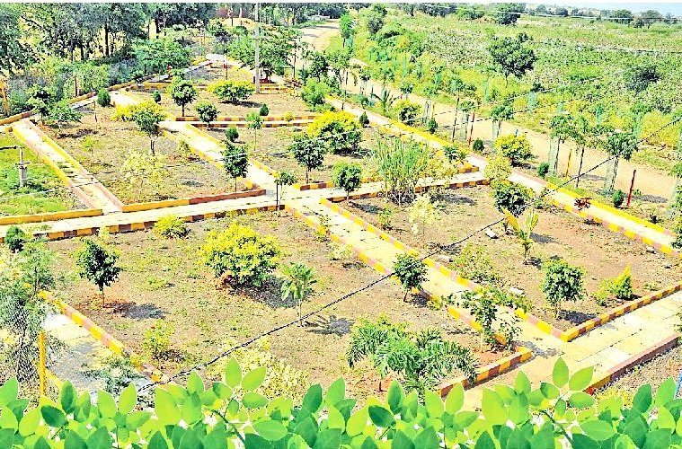 orangearrmy's tweet photo. #pallepragathi
#Andole
Look at this beautiful village park in Sangapur village , Raikode mandal of #Sangareddy district .
Villages and towns are transforming in Telangana .
@KTRTRS
@KrantiKiranTRS
#Telangana
#trs2023 https://t.co/DiRaxiuj11
