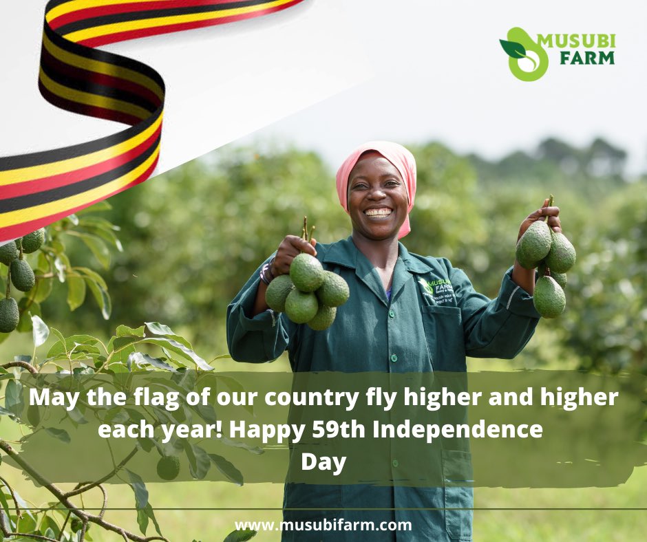 musubifarmug's tweet photo. May the flag of our country ๐บ๐ฌ fly higher and higher each year! Happy Independence Day!
#MusubiFarm #UgandaAt59 #UgandaIndependenceDay https://t.co/d7x5a8whKs