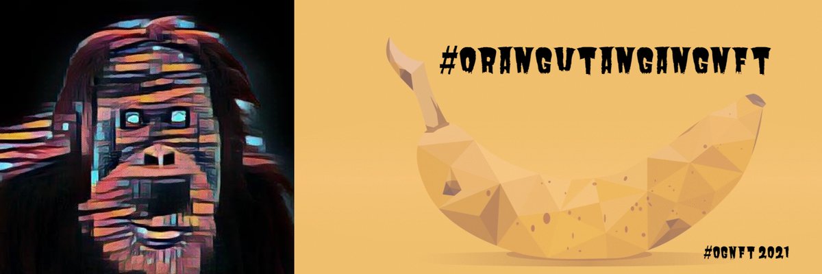 #OGNFT #ORANGUTANGANGNFT
