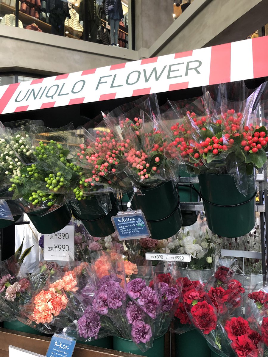 mamamarketer27's tweet photo. ユニクロが花まで売り始めたの知らんかった！
ひと束390円とお手頃価格で結構買っている人もいたし、アパレルからライフスタイル領域に着実に広げていってる模様。 https://t.co/9s9INJ9fWZ