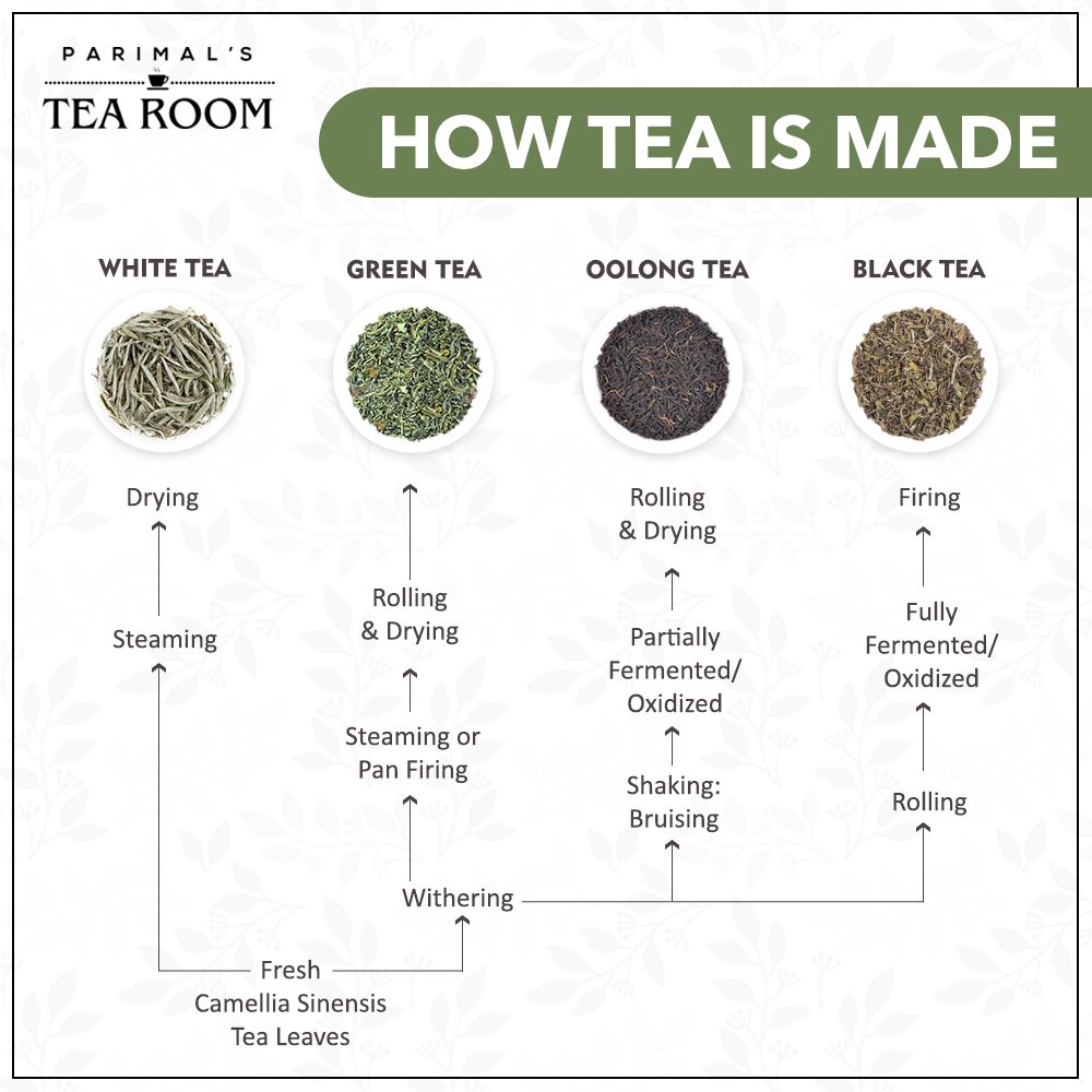 Tea processing is the method in which the leaves from the tea plant Camellia sinensis are transformed into the dried leaves for brewing tea.

#parimalstearoom #tea #teatime #tealover #tealovers #chai #teaaddict #didyouknow #teafacts #truefacts #healthy #blacktea #greentea