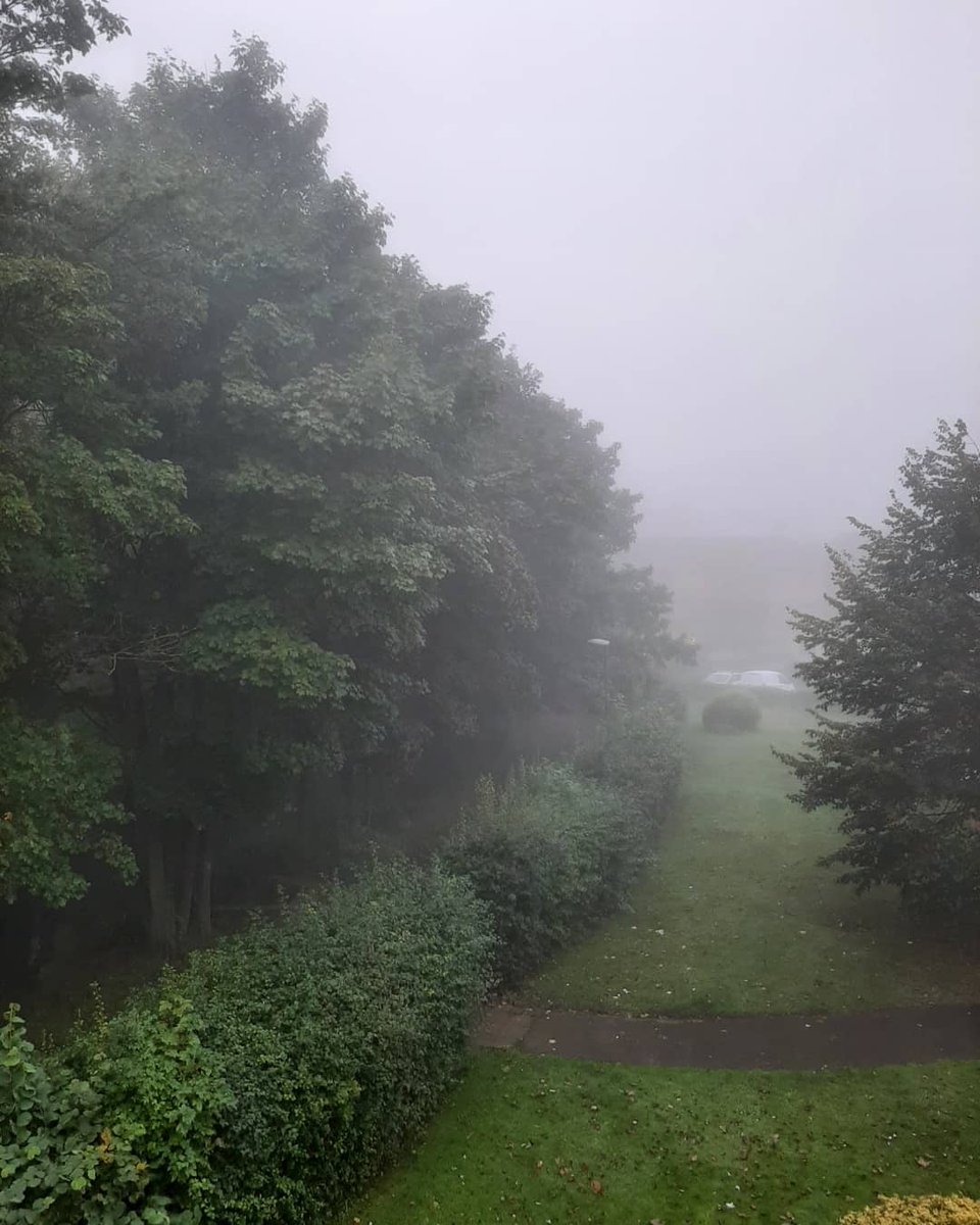 OBMCFC's tweet photo. Bit foggy as I head to roundshaw downs parkrun this morning #parkrun #roundshawdowns https://t.co/n9VugnYvRL