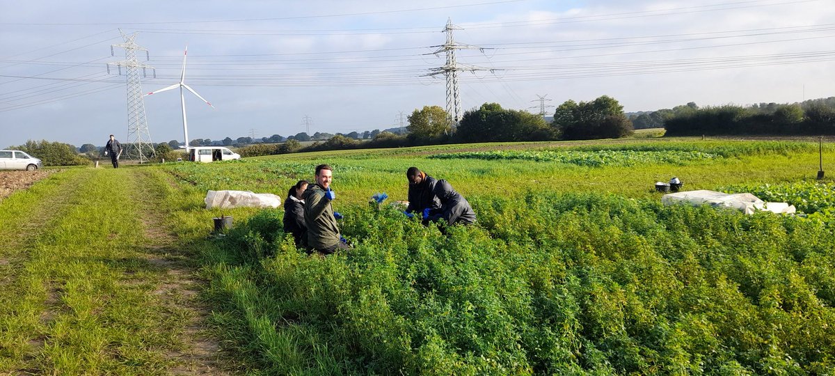 loeppmann's tweet photo. #rootways project of the Department of Soil Science CAU Kiel. Sunny day for #15N #leaflabeling at Hohenschulen https://t.co/2qhbpycXcV