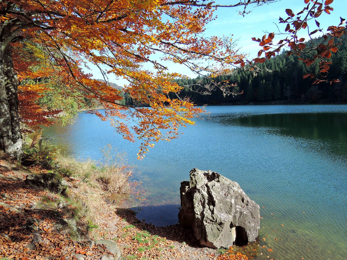 ..offrir un caillou
que tu ne prends que pour le reposer
dans le lit du torrent 
Tu saurais bien
quelle est ta place
à genoux sur la rive
la sienne aussi entre tant d'autres
au milieu des remous 
toi silencieux
lui lumineux ensemble

P. Dhainaut
Offrir et ne jamais finir

BÔJour!