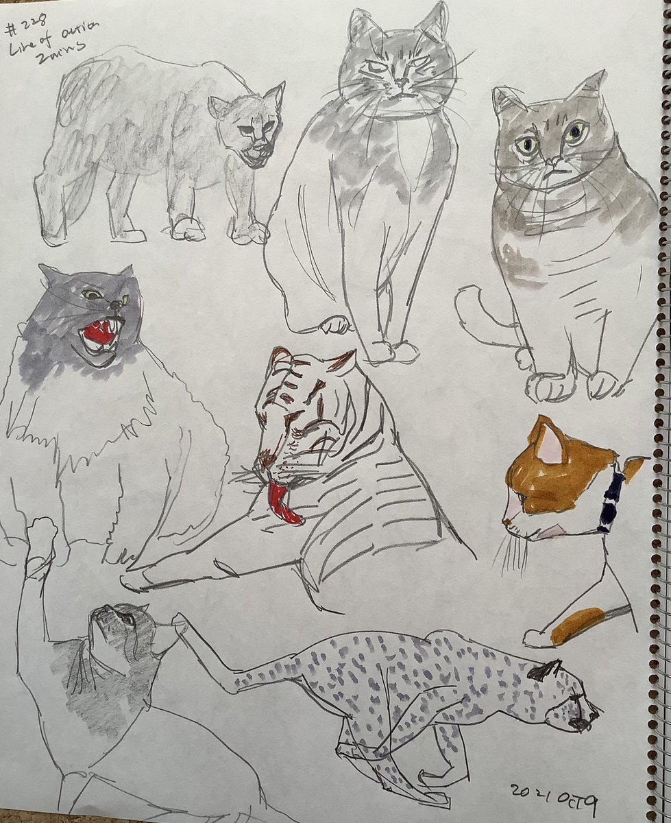 Mollykinoco's tweet image. #lineofaction #croques 228回目。人物60秒　動物2分。