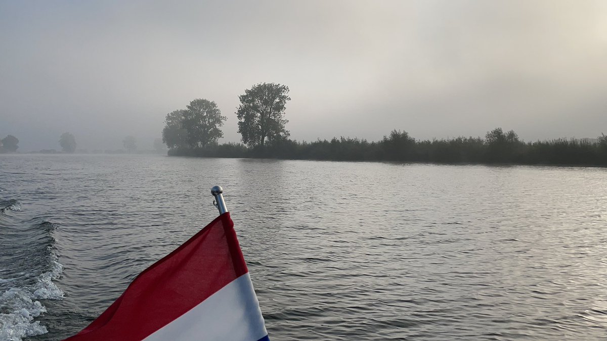 Early bird, thaking the moment..