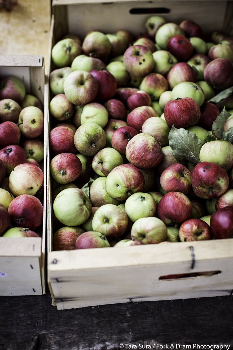 Food Gatherer tweet media