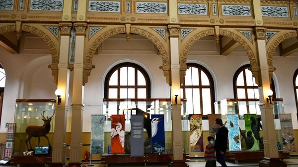 ArteSostenible's tweet photo. Hoy es el Día Mundial de las Aves Migratorias para sensibilizar sobre la necesidad de la conservación de éstas aves y sus hábitats. Este es el propósito de  nuestro #proyectodesplazados cuya primera exposición hemos presentado con el artista @guillermodel.valle en el @mnhncl https://t.co/QdPb42if1m