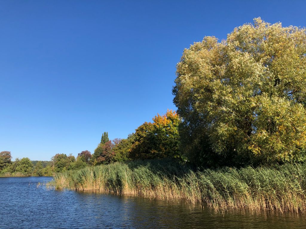 stadt_teupitz's tweet photo. Der Herbst ist da, mit seiner gesamten Schönheit! Genießt es!

#herbst #herbst2021 #landbrandenburg #stadtteuptitz #teupitzamsee #landleben #eskannsoeinfachsein #teupitzersee https://t.co/npFKA63sMs