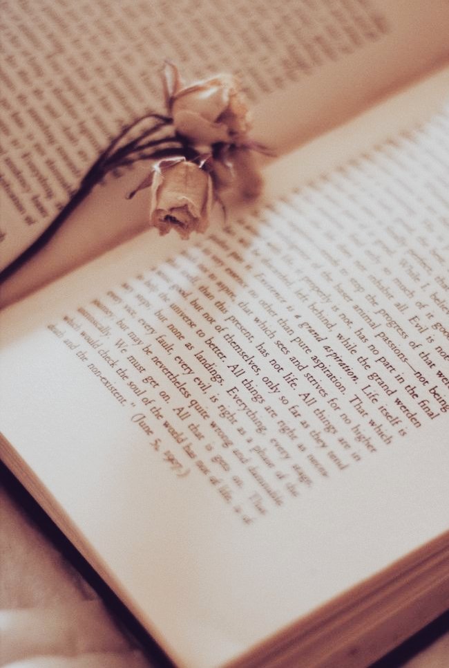 themessier42's tweet image. ◤ Solo Roleplay 

          First reading
          The Tyrent's Heart

          “เจ้ารู้หรือไม่ว่า...ดวงดาวไม่เคยหายไปไหน”
⠀