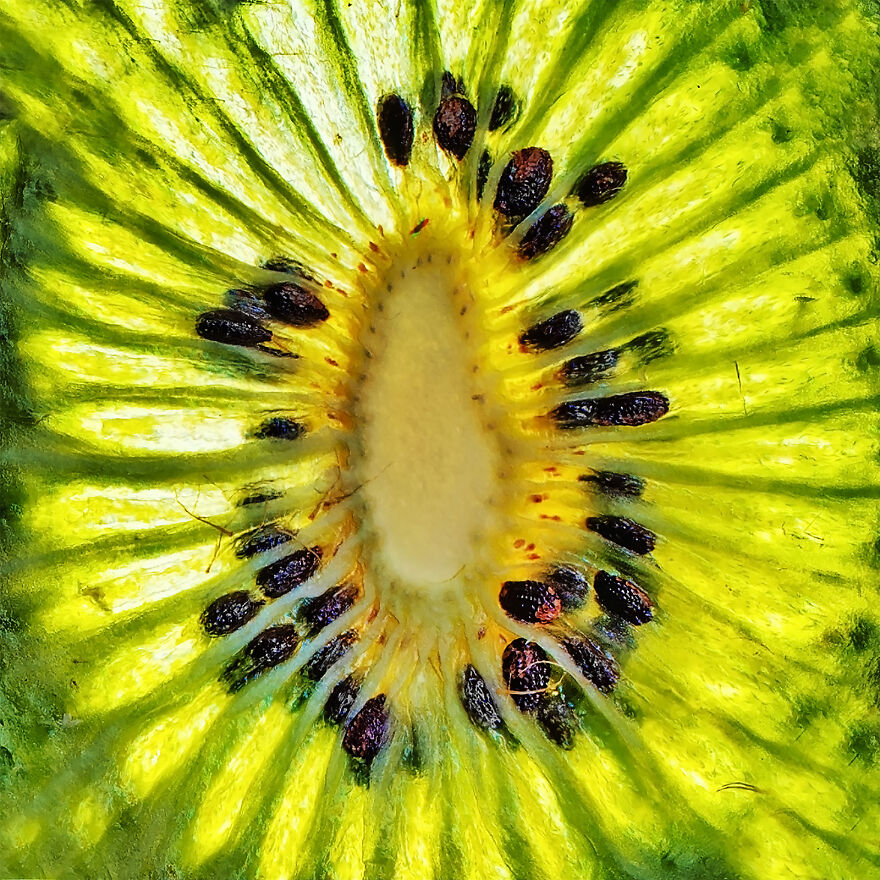 uvideofx's tweet photo. #Macro Photography - emphasizing on detail, #pattern, and texture
#photo #photooftheday #fruits #instagood #beautiful #cute #like4like #followme #picoftheday #hashtag10 #love #instadaily #food #follow #cool #motivation #Repost #love #sport #fruit #detail #Colors https://t.co/CPXmnA3xRG