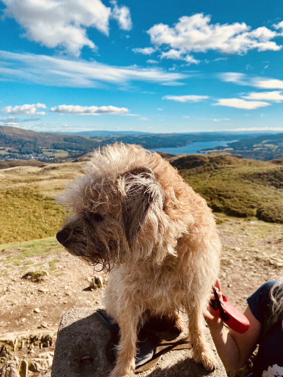 Great holiday in the Lakes.