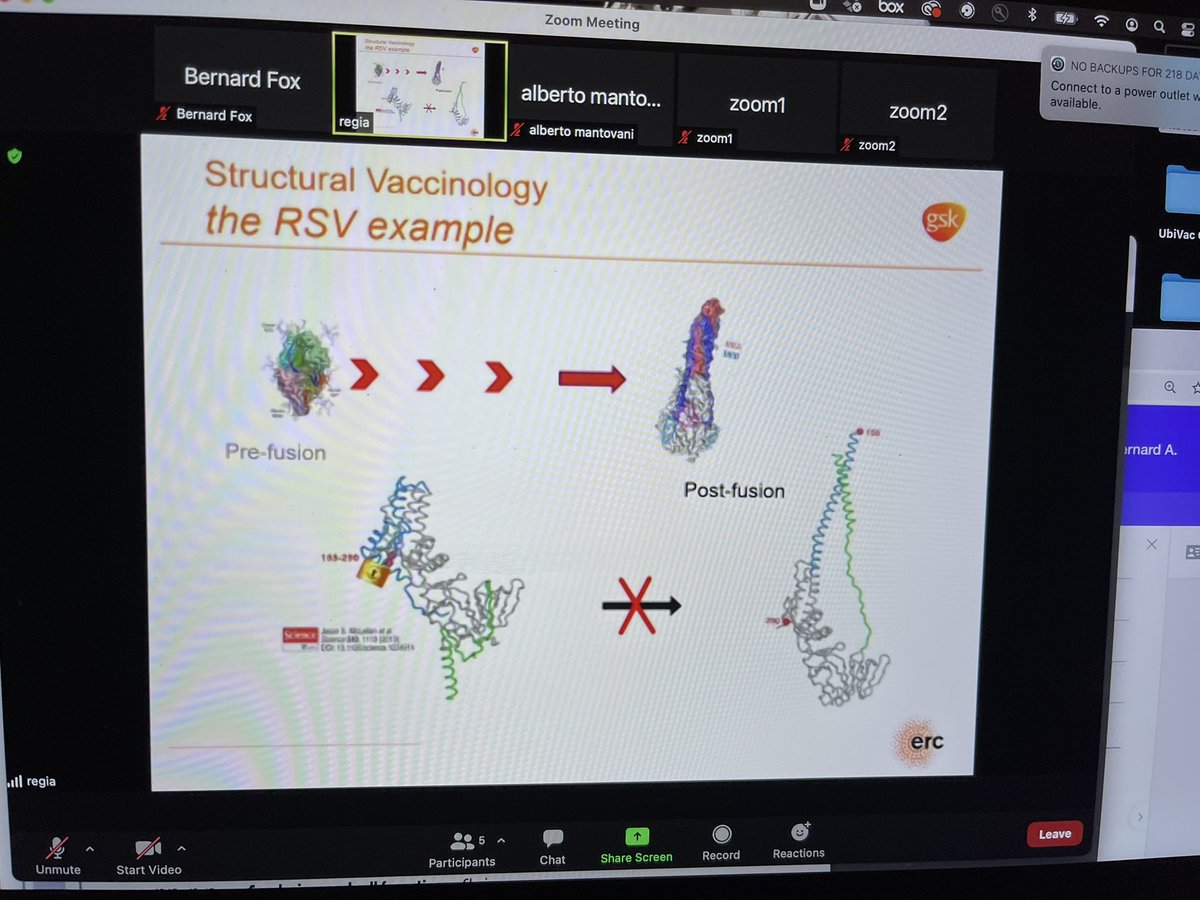 BernardAFox's tweet photo. Want to know why RSV vaccines failed? Could help #cancer VAX? WATCH Dr Rino Rappuoli’s talk @GSK will be archived on #ThinkTank @NIBITSIENA /stabilization of “spike” knowledge helped develop #COVID19 #Vaccines / https://t.co/9Hi1CLbAjT /Great review of adjuvants/ thx @EricTopol https://t.co/vPBz2sGnSI