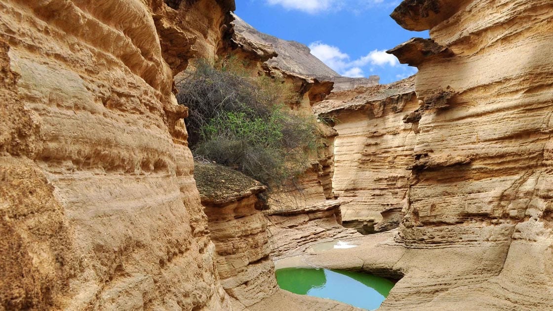 pasargad_tours's tweet photo. As it gets cooler in the northern hemisphere, #Iran gets ready to host #tourists in its southern #islands, where you will find pleasant spring-like climate in autumn and winter time
You are invited to see  #Qeshm Island, a #UNESCO-listed global #geopark

https://t.co/GyX6pXsBH4 https://t.co/6azRmakV5D