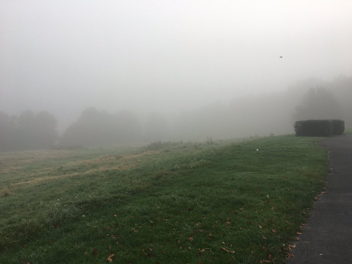 Chi Chi Izundu tweet media