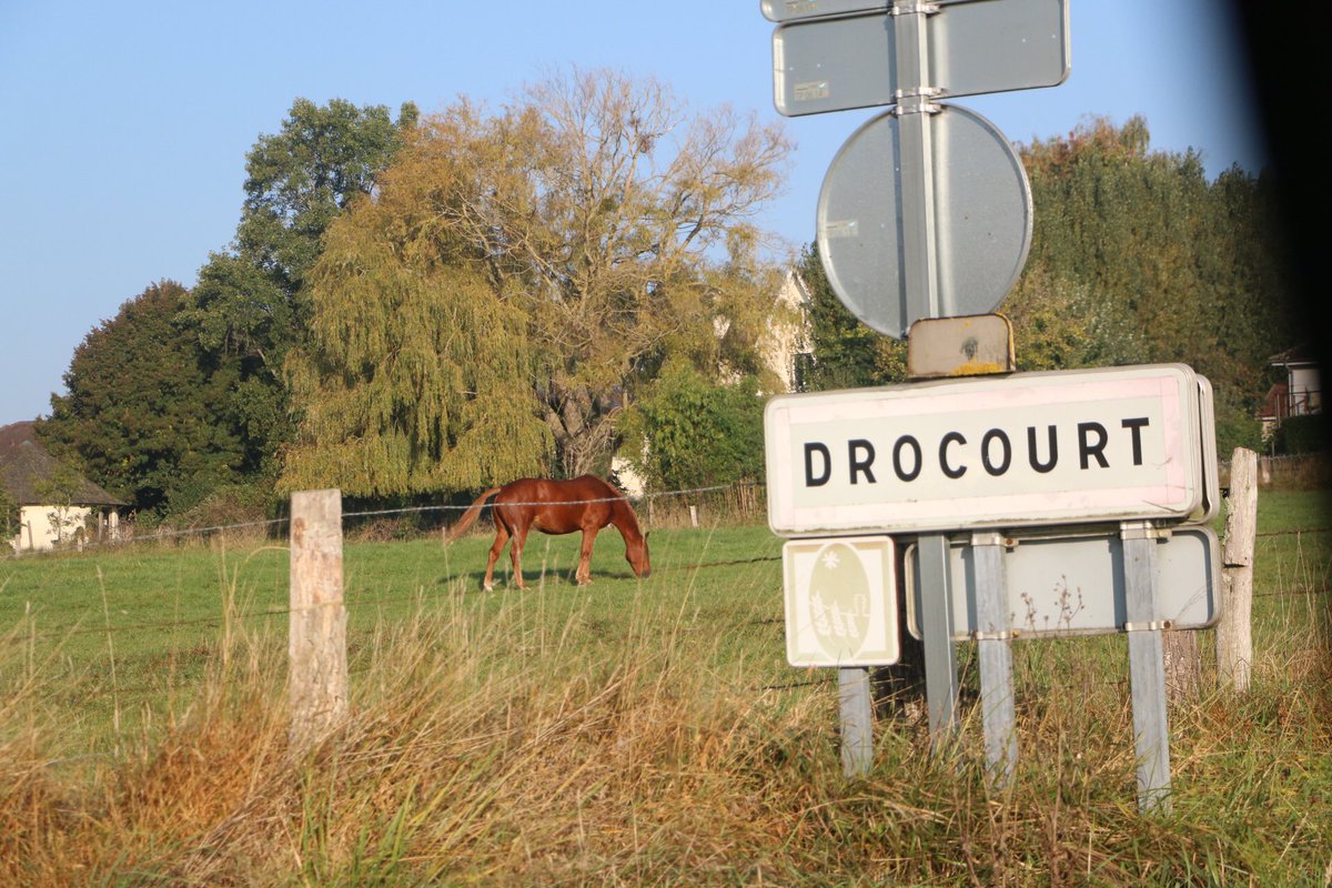 secretsduvexin's tweet photo. Comment passer à côté de cette commune du #Vexin 🌾 français ?

👉 #Drocourt !

Et surtout de sa boulangerie 🥖. 
Avis à la team #PainAuChocolat et #Chocolatine #torsade au chocolat 😋 https://t.co/CgUMlPyiGw