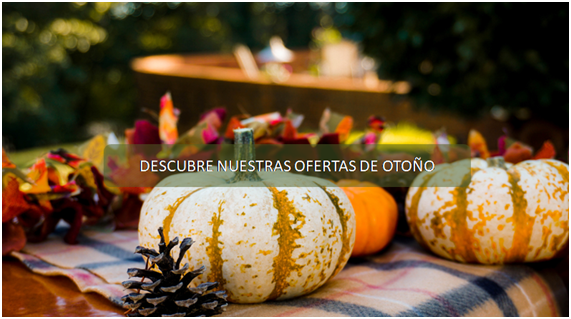 SabiaEs's tweet photo. 💥 Los alimentos imprescindibles para el otoño que puedes comprar online en https://t.co/kwwcM5BvxK ya los tienes disponibles, descubre nuestras ofertas
TIENDA ONLINE
https://t.co/f4pexq55Sq
Link directo en nuestra bio👉
➡️@sabia.es
 #tiendaonline #marketplace #alimentaciononline https://t.co/BBqXdNsSQK