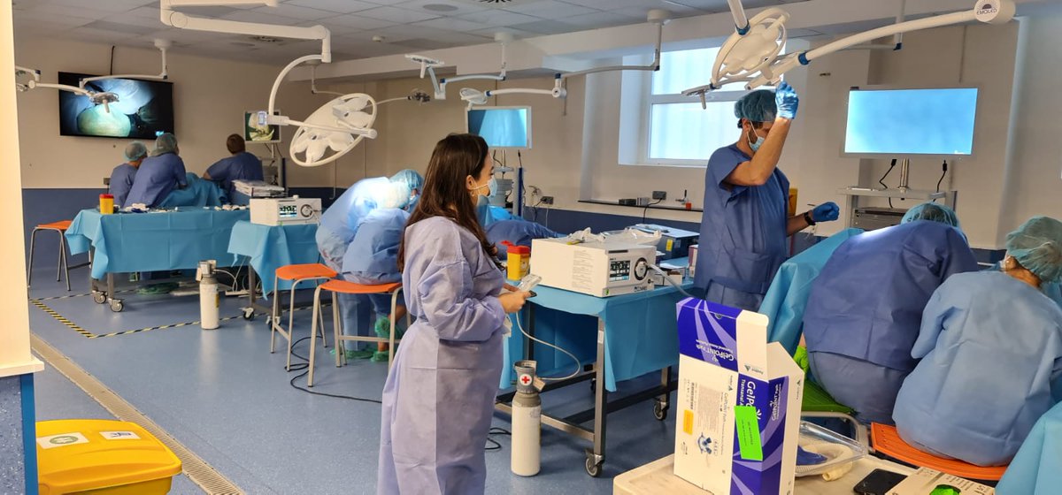 PRIM Endocirugía tweet media