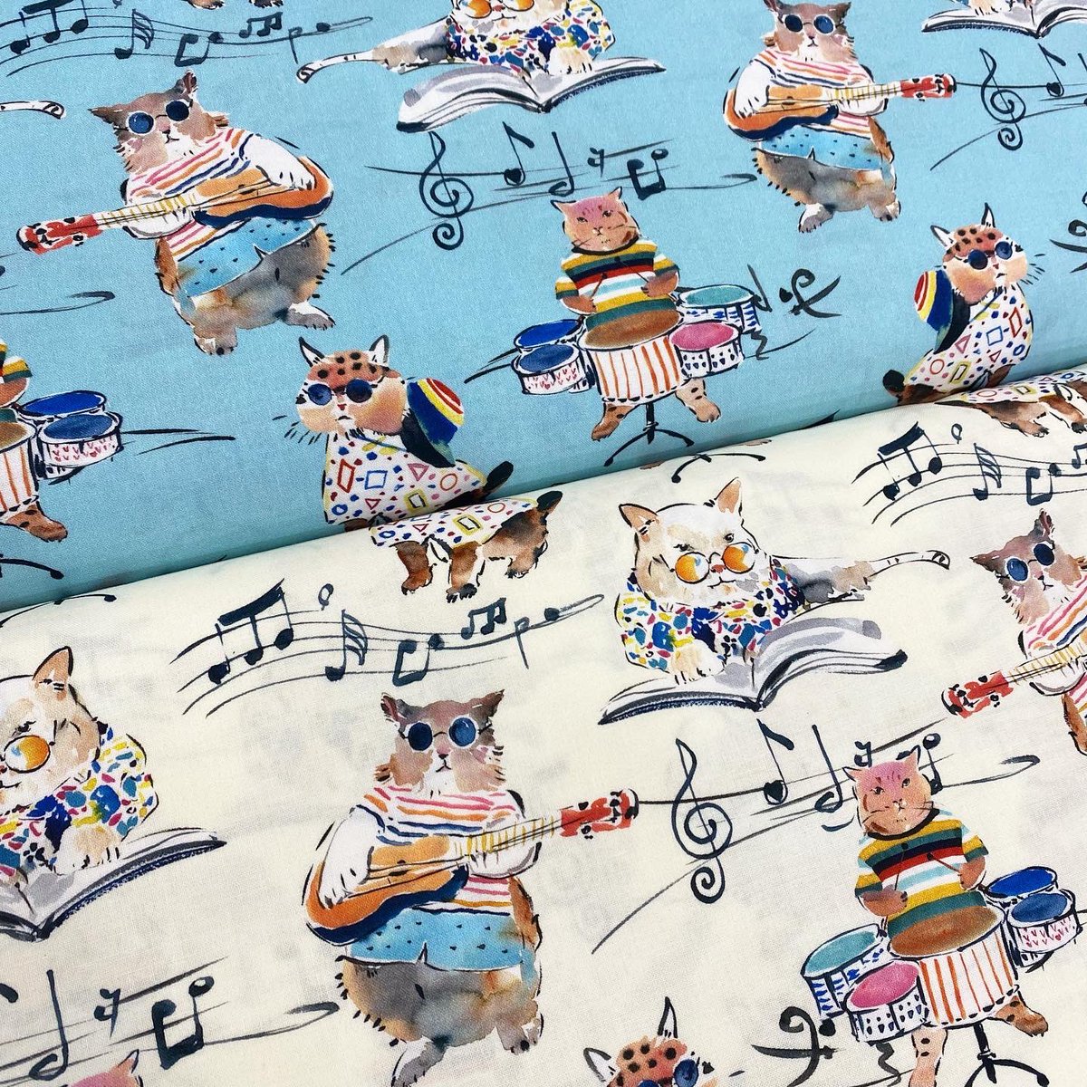 コットンファミリー Cottonfamilytmk Twitter