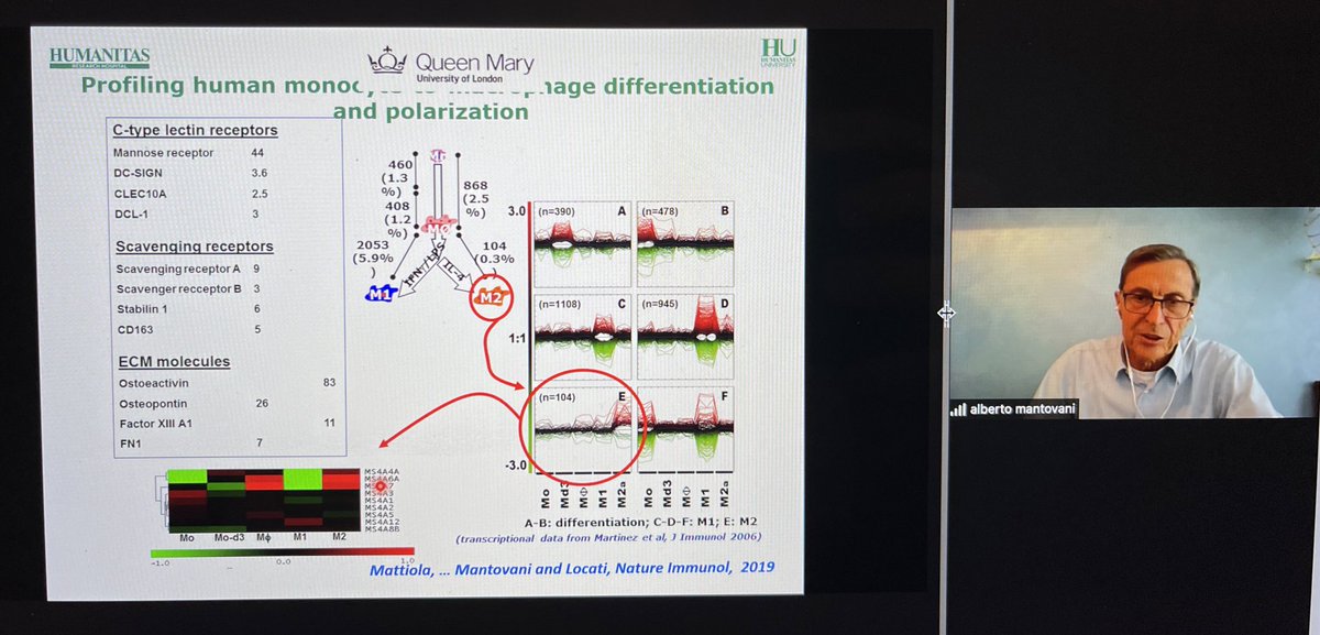 BernardAFox's tweet photo. 💥 IGNAROME - Learned a new “Ome” Prof Alberto Montovani @HUNIMED @QMUL talks “in press data” / #Complement and #Macrophages in #cancer #immunotherapy /GREAT  discussion btwn @tcellsrus Prof Wolf Fridman &amp; Alberto &amp; Saldano &amp; @sautesfridm / @WICouncil @NIBITSIENA @parkerici https://t.co/hyu6OaoG2q