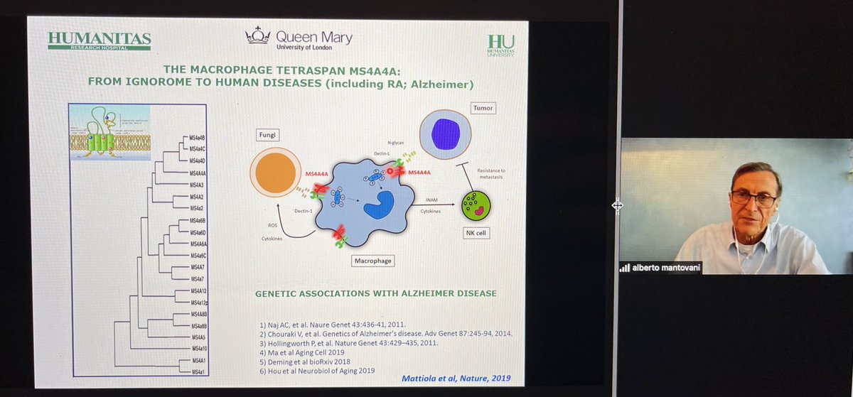 BernardAFox's tweet photo. 💥 IGNAROME - Learned a new “Ome” Prof Alberto Montovani @HUNIMED @QMUL talks “in press data” / #Complement and #Macrophages in #cancer #immunotherapy /GREAT  discussion btwn @tcellsrus Prof Wolf Fridman &amp; Alberto &amp; Saldano &amp; @sautesfridm / @WICouncil @NIBITSIENA @parkerici https://t.co/hyu6OaoG2q