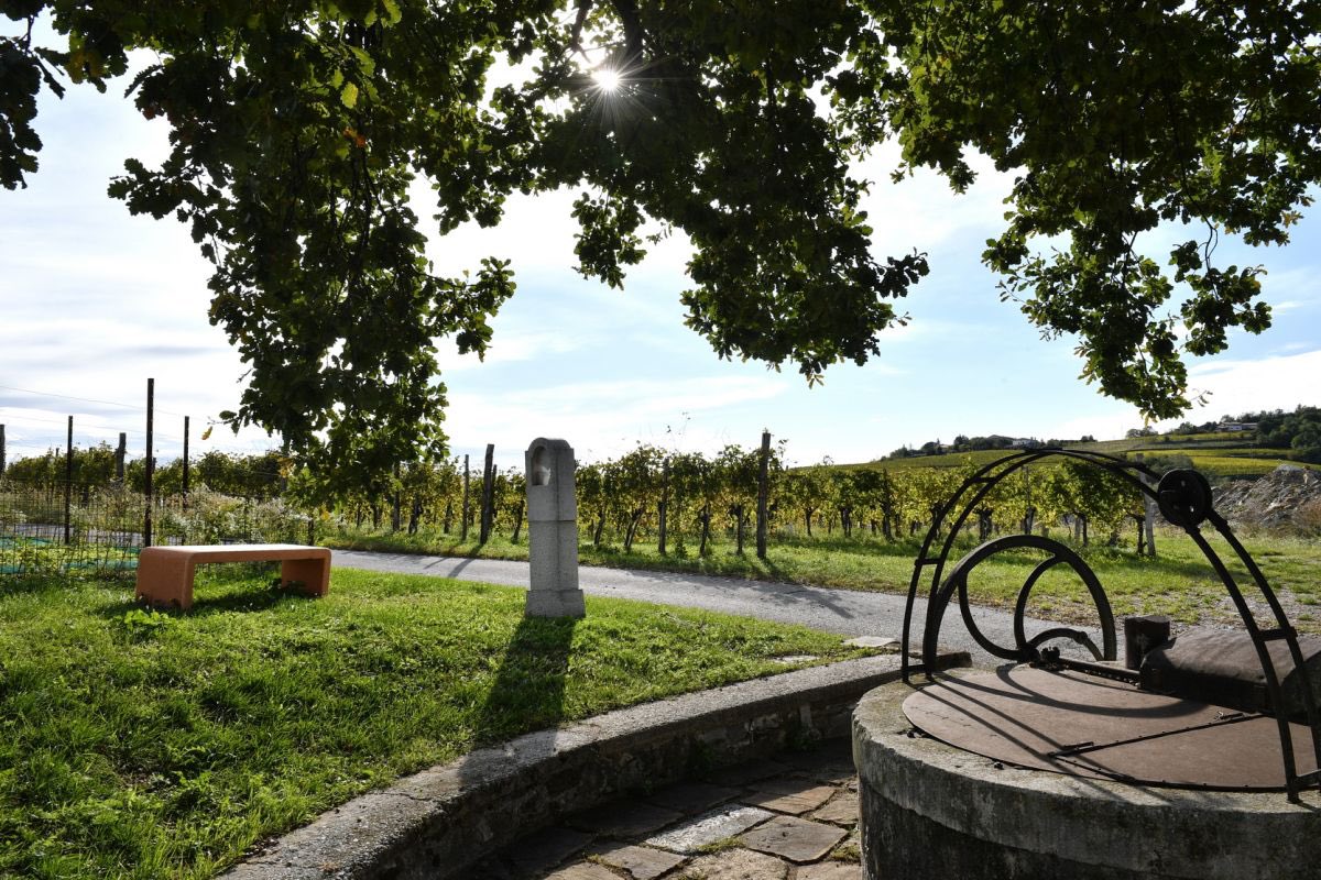 WineNewsIt's tweet photo. Il “#Percorso delle #PanchineArancioni”, nato tra #vigneti e #cantine della #RibollaOslavia (#Princic #Fiegl #Gravner #Carpino #LaCastellada #Primosic e #Radikon) con i messaggi QrCode dei #vigneron e tracciato su #Google, sarà inaugurato ufficialmente a “#RibolliAmo” domani https://t.co/AUERELAuwY