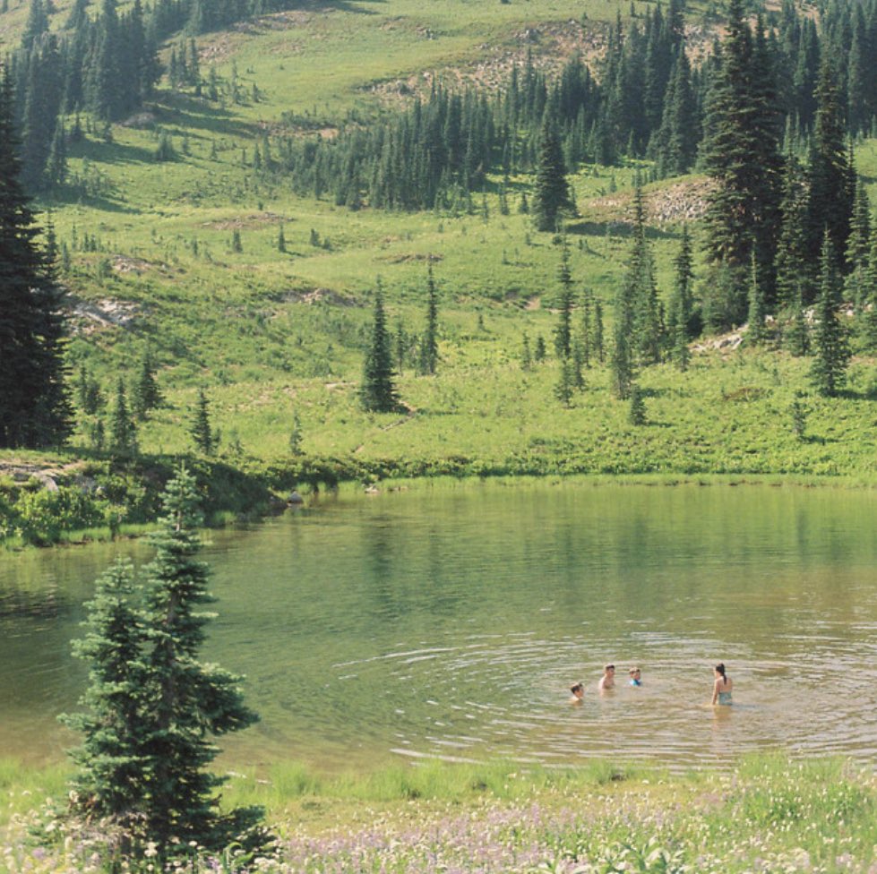 wrong_colour's tweet image. Great Big Wild Oak - great record from @skirtsmusic 

Listen to ‘Always’ and ‘Remember’ in our latest playlist: tinyurl.com/y6jb8wyn