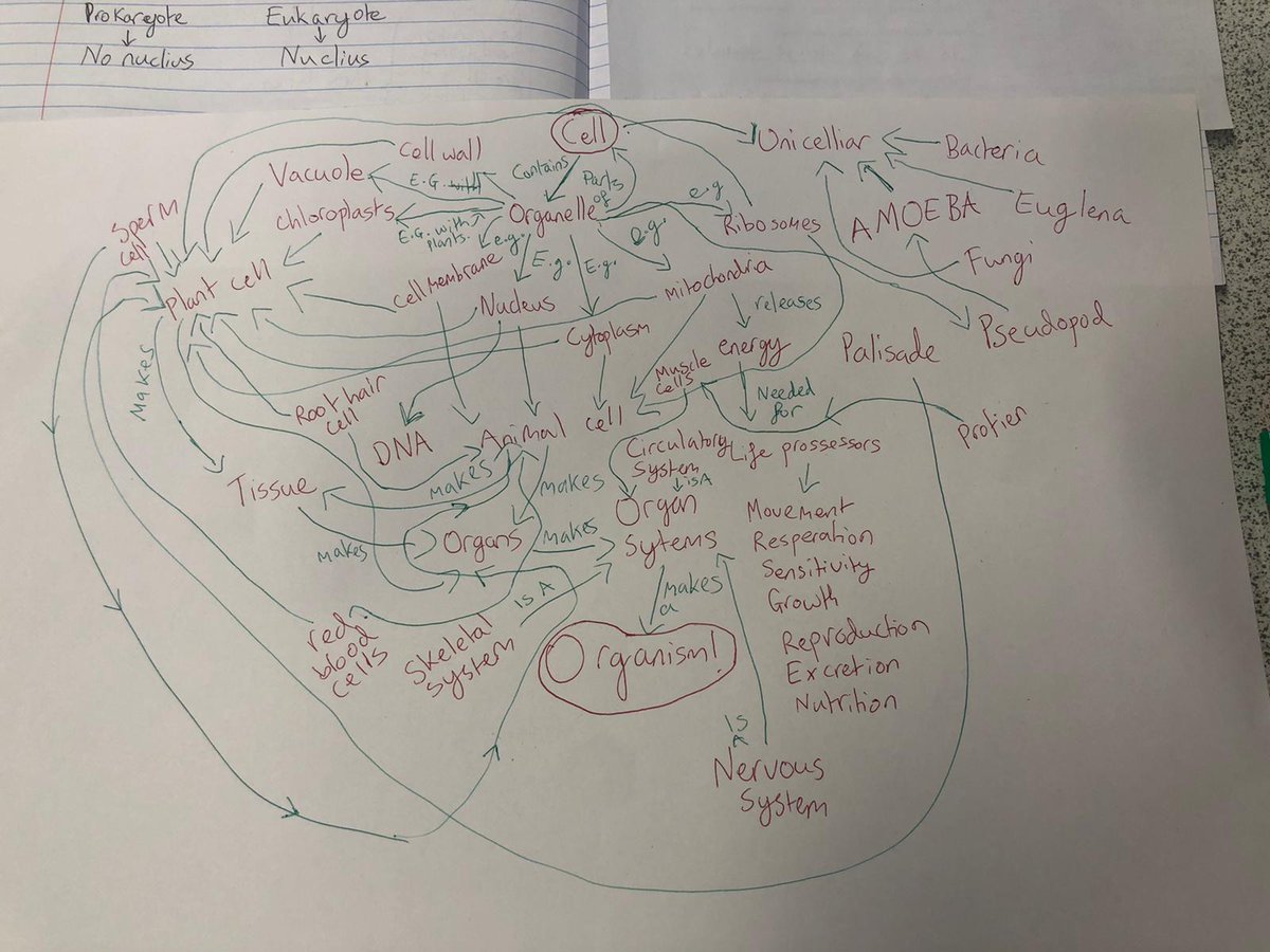 Lovely concept maps from 7Y1! Making some great knowledge links 👍🏻 <a href="/7valeschool/">Severn Vale School</a>