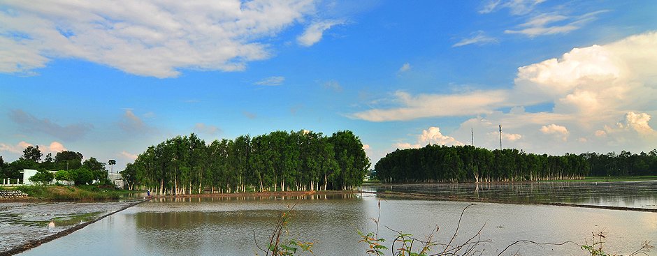 Nedra Solari (@nedrasolari) on Twitter photo 