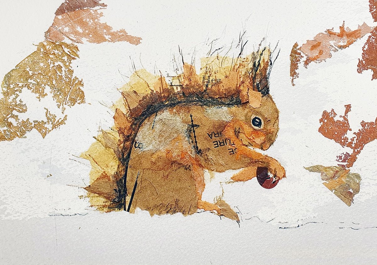 Red squirrel, stocking up 🧡
Another new fine art print now available from my Etsy shop ⭐ 

#UKGiftHour #ukgiftam #TwitterNatureCommunity #Wildlife #Redsquirrel pic.x.com/E5wFGCaggv
