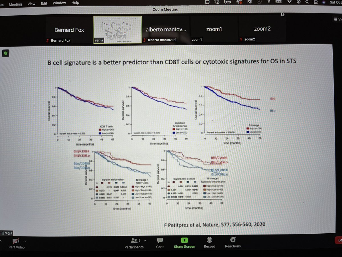 BernardAFox's tweet photo. 💥B cells, B cells, B cells! PREDICTIVE BIOMARKER! The AMAZING Prof Wolf Fridman Pulls it together &amp; Lays it all out! Another video you need to watch @ #ThinkTank2021 @NIBITSIENA / reviews @JenWargoMD &amp; @BcellBruno Imp 4 #cancer #immunotherapy @WICouncil @parkerici @sautesfridm https://t.co/FahlQRH2dJ