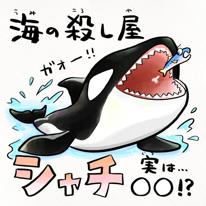 IQ2億のハムスターもいれば超賢いのに自立できないシャチもいる 