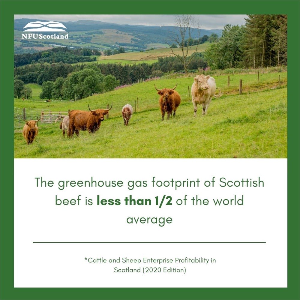 And the best way you can guarantee that’s what you’re buying is to look for the Scotch Beef PGI label #ScotchBeef #MakeItScotch #meatwithintegrity