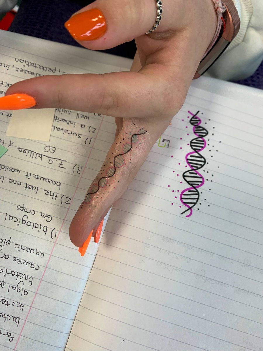 Mallaig High School Science tweet media