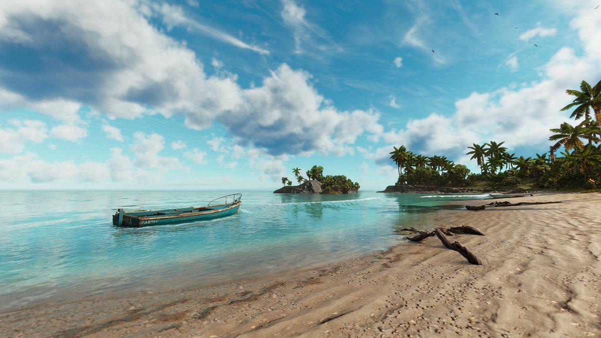 Far Cry FR tweet media