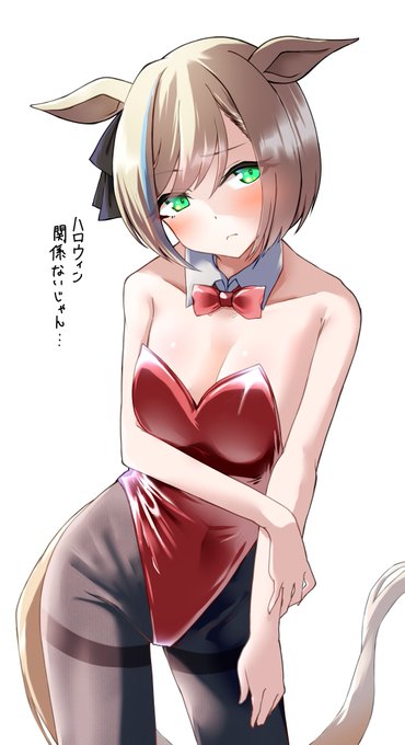 仮装用に渡された衣装がハロウィンとなんっにも関係なくても一応着るだけは着てくれる、恋人になったら何でもしてくれるリトルココン

#ウマ娘
#リトルココン 