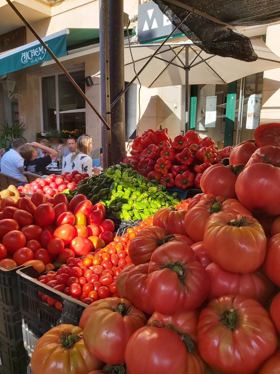 theislandbeyond's tweet photo. 🕙10:30📍Santanyí Farmer’s Market | Our first stop is the Santanyi farmers market! 👩🌾🌽 We absolutely love communities that are 🎵livin' la vida LOCAL🎵 #visitcalador #somdemallorca #visitsantanyi #balearestb @santanyitourism @somdemallorca @ajsantanyi @balearestb https://t.co/jceHmj4bjy