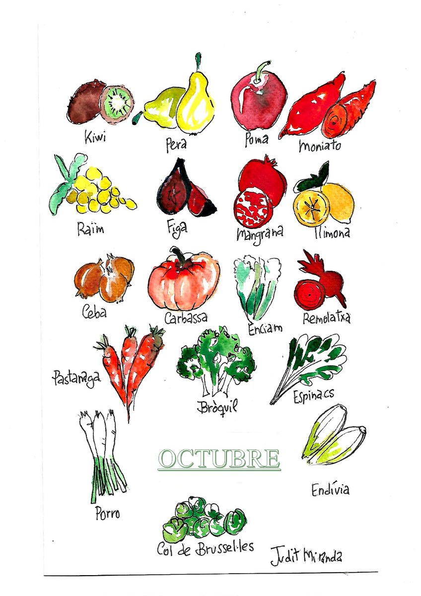 mercatdelamerce's tweet photo. Ara ja tenim al Mercat tota la fruita i verdura típica del mes d'octubre... Carabasses, kiwis, prunes, mandarines, bròquils, espinacs, bledes, pastanagues... Un munt de varietat per combinar a la teva cuina.🍁🍂🍁🍂🍁
#viuelteumercat
#fruites #hortalisses
#femmercat https://t.co/6ZaubGkSWU